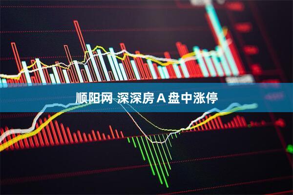 顺阳网 深深房Ａ盘中涨停