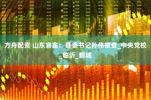 方舟配资 山东官宣：县委书记孙伟被查_中央党校_临沂_鄄城